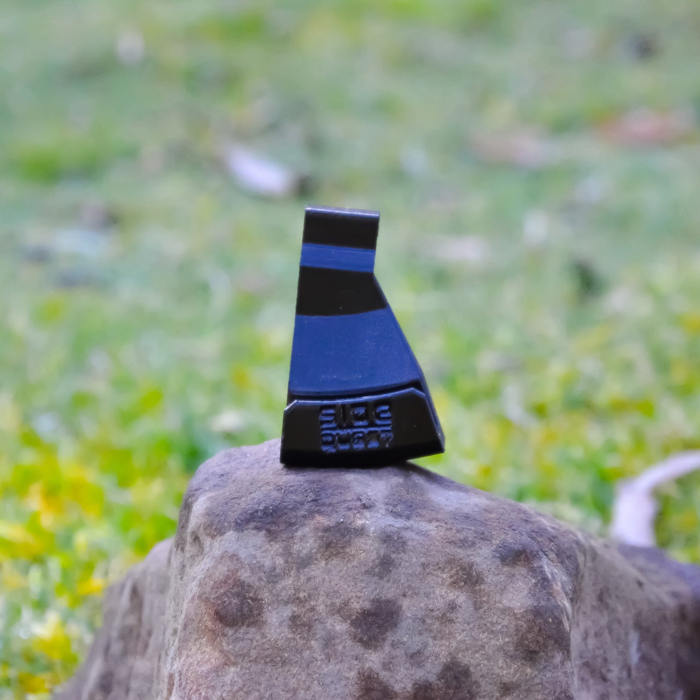 Black object on a rock with a grassy background