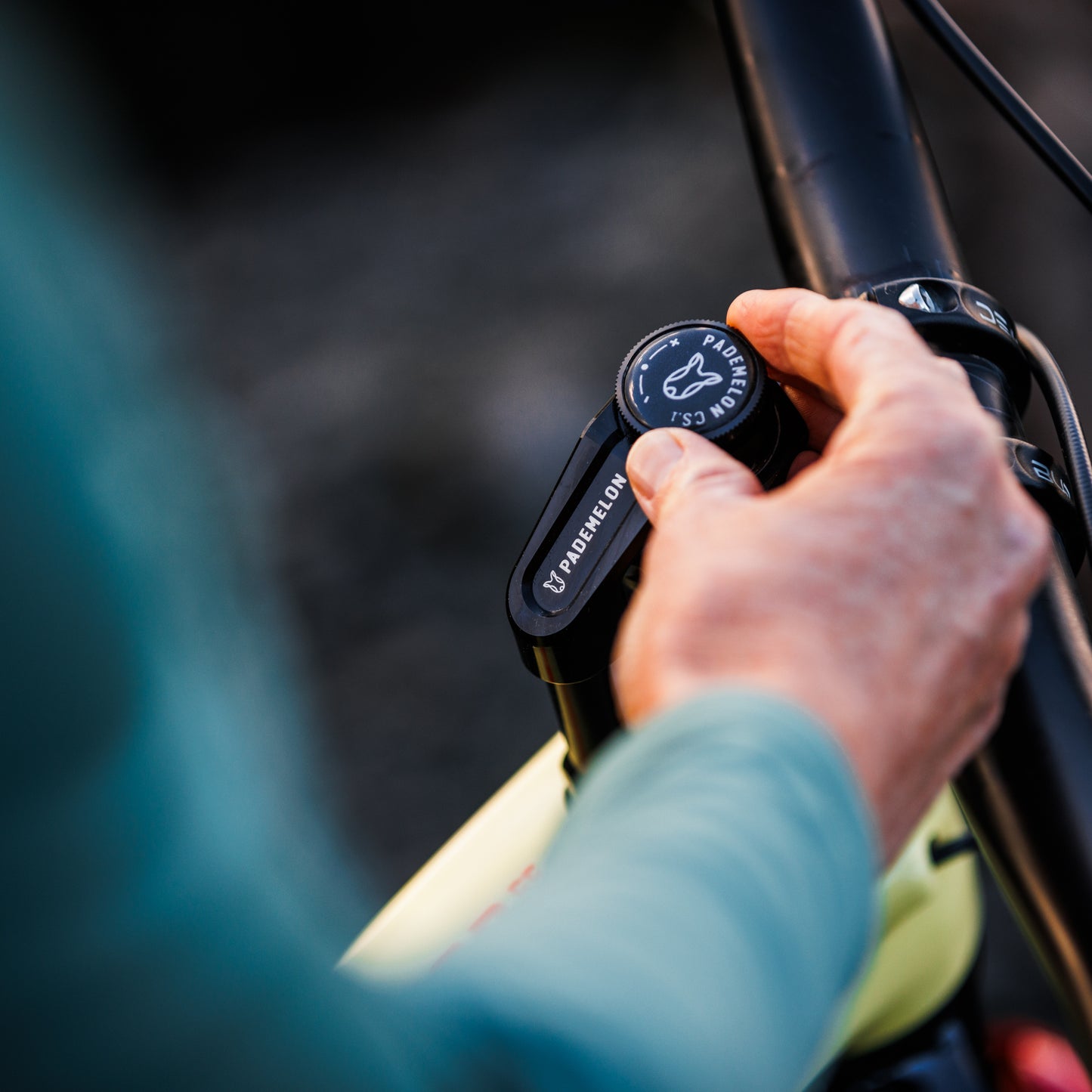 Pademelon steering damper adjuster